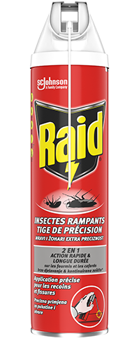 Raid Aerosol Insectes Rampants Tige De Precision 2En1 400Ml : :  Jardin