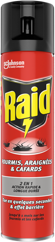 RAID® AÉROSOL FOURMIS, ARAIGNÉES et CAFARDS 2EN1 - 400 ml